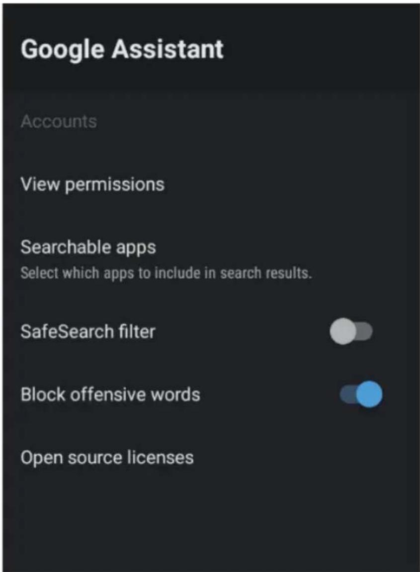 Google Assistant Accounts View permissions Searchable apps Select which apps to include in search results. SafeSearch filter Block offensive words Open source licenses