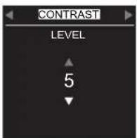 FBT MUSE 218 SND - CONTRAST - 1