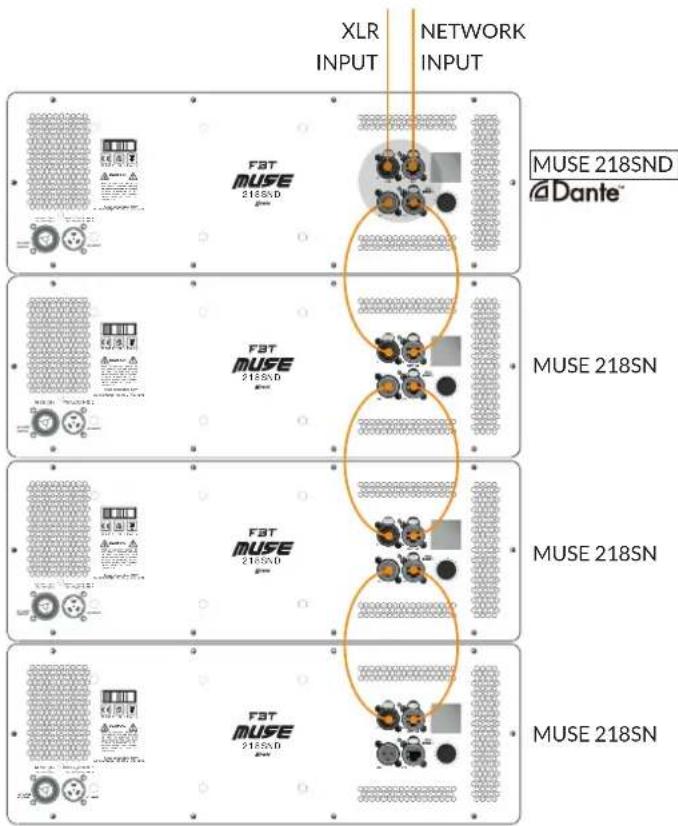 XLR INPUT NETWORK INPUT MUSE 218SND @Dante™ FAT MUSE 218SND MUSE 218SN FAT MUSE 218SND MUSE 218SN FAT MUSE 218SND MUSE 218SN