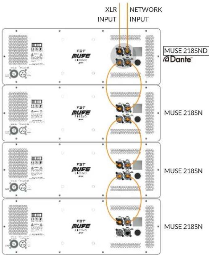 XLR INPUT NETWORK INPUT MUSE 218SND @Dante™ FAT MUSE 218SND MUSE 218SN FAT MUSE 218SND MUSE 218SN FAT MUSE 218SND MUSE 218SN