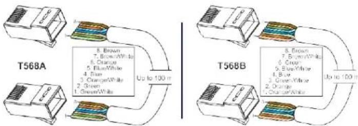 AMX DX-TX-4K60 - Twisted Pair Cable Pinouts and RJ-45 LEDs - 1