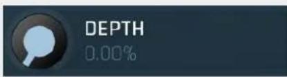 DEPTH 0.00%
