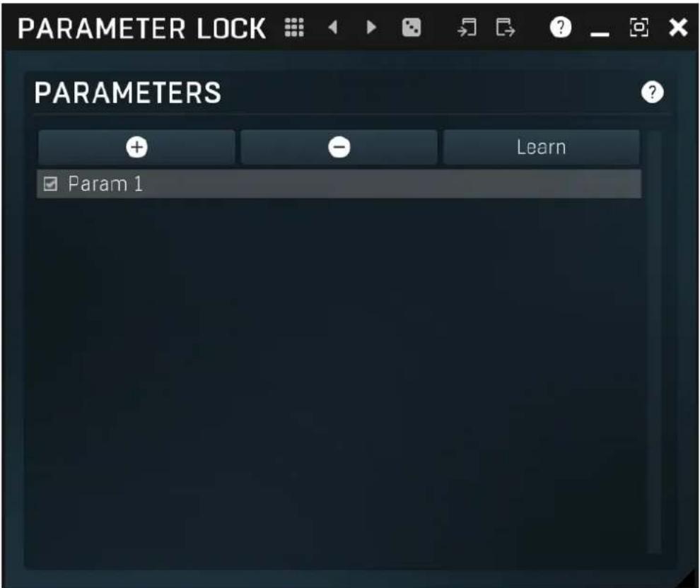 PARAMETER LOCK PARAMETERS + - Learn Param 1
