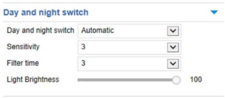 Day and night switch Day and night switch Automatic Sensitivity 3 Filter time 3 Light Brightness 100