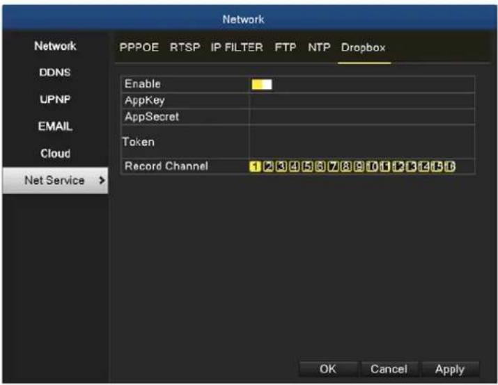 Network Network PPPOE RTSP IP FILTER FTP NTP Dropbox DDNS UPNP EMAIL Cloud Net Service > Enable AppKey AppSecret Token Record Channel 1 2 3 4 5 6 7 8 9 10 11 12 13 14 OK Cancel Apply