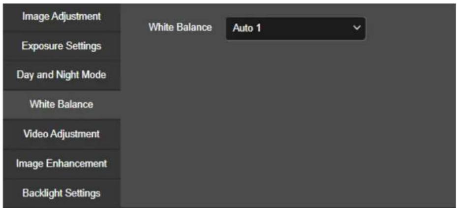 Image Adjustment Exposure Settings Day and Night Mode White Balance Video Adjustment Image Enhancement Backlight Settings White Balance Auto 1