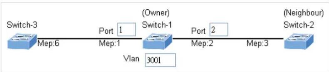 Planet IGS-6329-8UP2S2X - Set ERPS Configuration on Switch 1 - 2