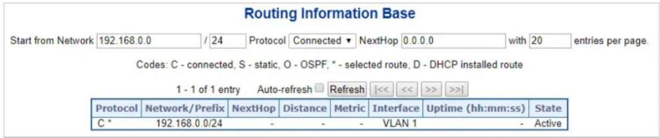 Planet IGS-6329-8UP2S2X - Routing Information Base - 1