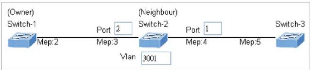 Planet IGS-6329-8UP2S2X - Set ERPS Configuration on Switch 2 - 2