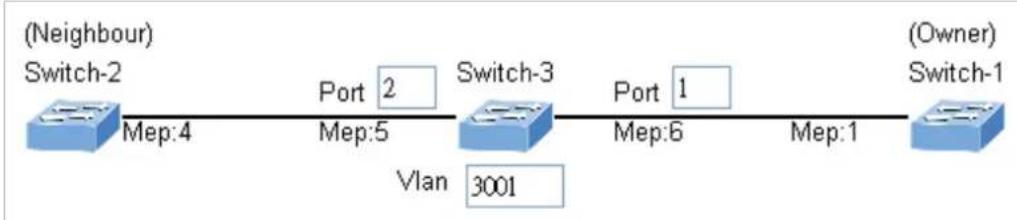 Planet IGS-6329-8UP2S2X - Set ERPS Configuration on Switch 3 - 2