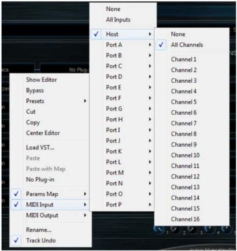 None All Inputs ✓ Host ▶ None Port A ▶ All Channels Port B ▶ Channel 1 Port C ▶ Channel 2 Port D ▶ Channel 3 Port E ▶ Channel 4 Port F ▶ Channel 5 Port G ▶ Channel 6 Port H ▶ Channel 7 Port I ▶ Channel 8 Port J ▶ Channel 9 Port K ▶ Channel 10 Port L ▶ Channel 11 Port M ▶ Channel 12 Port N ▶ Channel 13 Port O ▶ Channel 14 Port P ▶ Channel 15 Track Undo