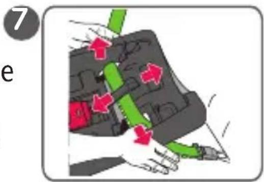 Evenflo SecureMax - Installing the Base with the Vehicle Seat Belt/Shoulder Belt (cont.) - 5