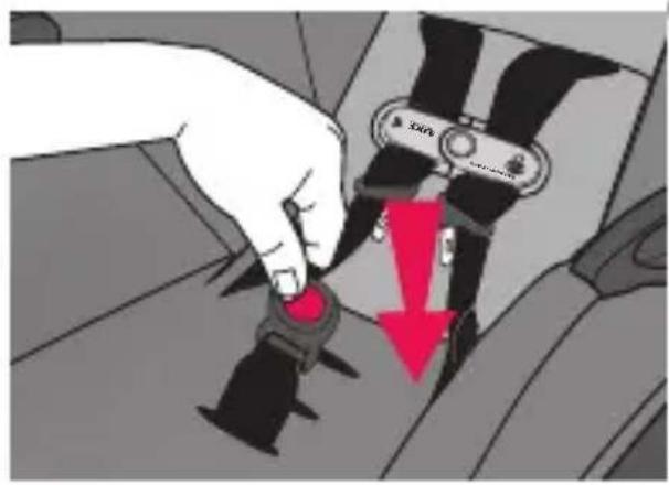 Evenflo SecureMax - Changing the Waist Strap Position (cont.) - 1