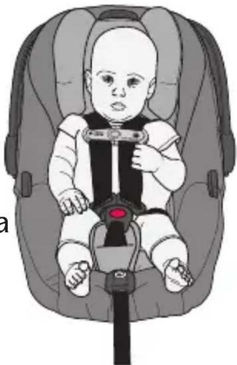 Evenflo SecureMax - To prevent ejection or serious injury: - 2