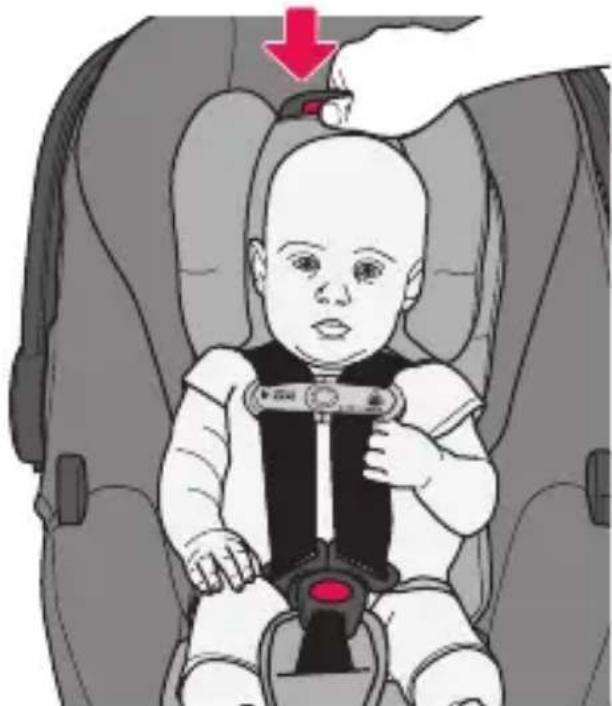 Evenflo SecureMax - Securing Your Child in the Carrier (cont.) - 2