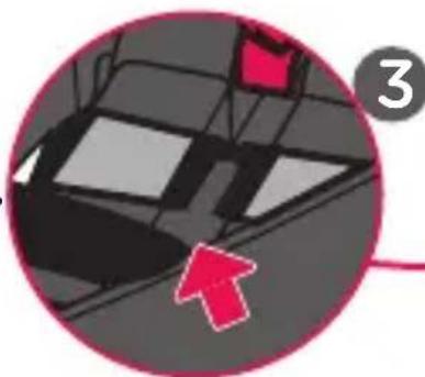 Evenflo SecureMax - Installing the Base with the Vehicle Seat Belt - 5