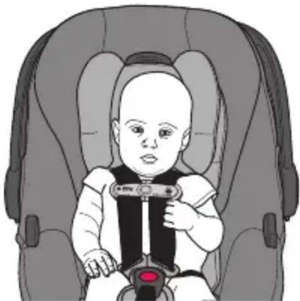 Evenflo SecureMax - Securing Your Child in the Carrier (cont.) - 2