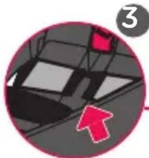 Evenflo SecureMax - Installing the Base with the Vehicle Seat Belt/Shoulder Belt - 5