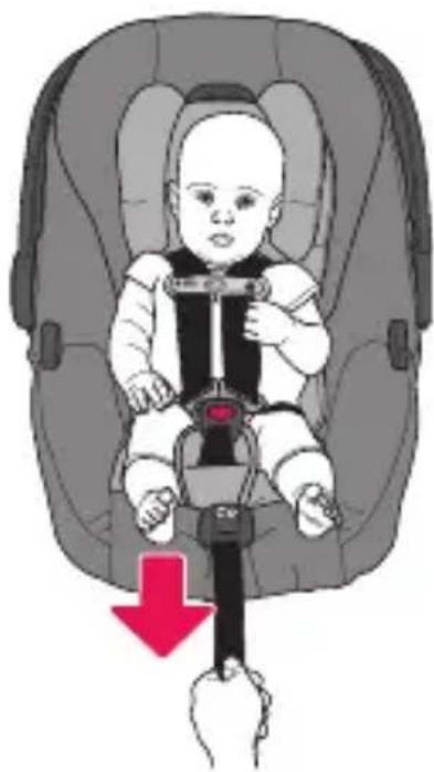 Evenflo SecureMax - Placing Your Child in the Carrier (cont.) - 2