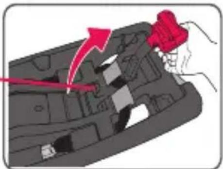 Evenflo SecureMax - Installing the Base with the Vehicle Seat Belt/Shoulder Belt - 6