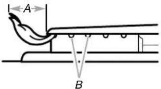 A B