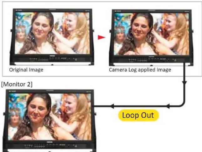 Postium OBM-N101 - Camera Log Mapped SDI Loopout - 1