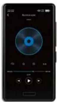 22:32 +01 22 WD Audianna audio
