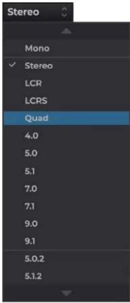 Stereo Mono ✓ Stereo LCR LCRS Quad 4.0 5.0 5.1 7.0 7.1 9.0 9.1 5.0.2 5.1.2