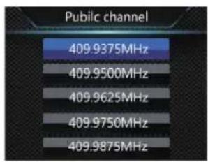 Public channel 409.9375MHz 409.9500MHz 409.9625MHz 409.9750MHz 409.9875MHz