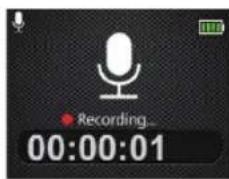 Recording... 00:00:01