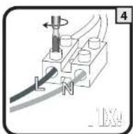 XQ-lite XQ1294 - FRONT PAGE BACK PAGE - 4