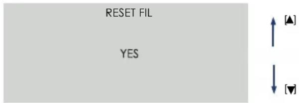 RESET FIL YES