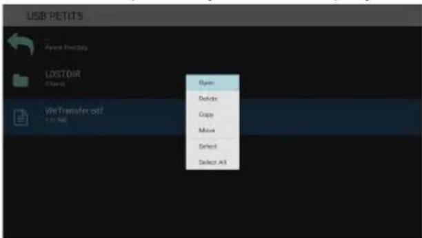 USB PETI.TS Open Delete Copy Move Select Select All