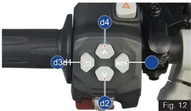 d4 d3d1 SET d2 Fig. 12