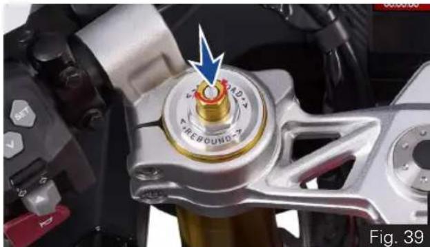 TVS Apache RR 310 BTO - Rebound damping force - 1