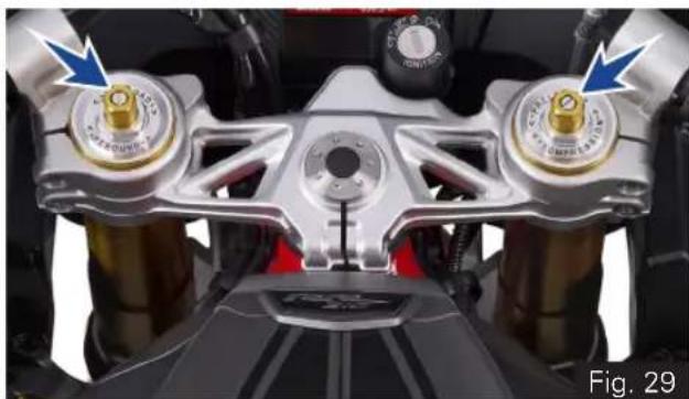 TVS Apache RR 310 BTO - Adjustable front suspension (ref. Fig. 29) - 1