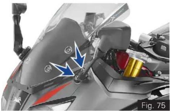 TVS Apache RR 310 BTO - Mirror Assembly - 1