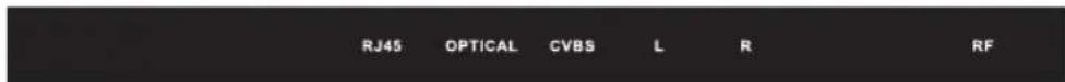 RJ45 OPTICAL CVBS L R RF