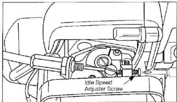 Idle Speed Adjuster Screw