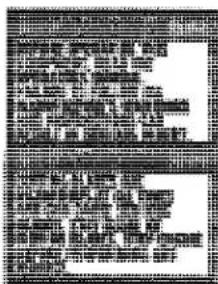 Scanned text of a formal document with dense columns of Chinese characters and a horizontal line at the bottom.