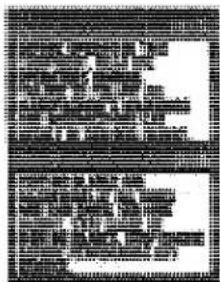 Scanned text of dense Chinese characters, likely from a document or form