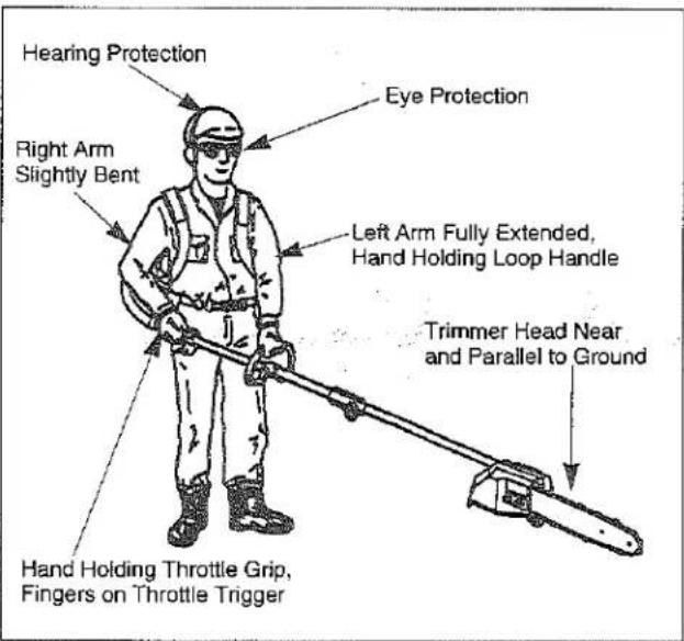 Hearing Protection Right Arm Slightly Bent Eye Protection Left Arm Fully Extended, Hand Holding Loop Handle Trimmer Head Near and Parallel to Ground Hand Holding Throttle Grip, Fingers on Throttle Trigger