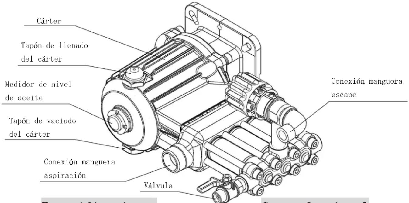 Cárter Tapón de llenado del cárter Medidor de nivel de aceite Tapón de vaciado del cárter Conexión manguera aspiración Válvula Conexión manguera escape Eversión sinuera Conexión sinuera
