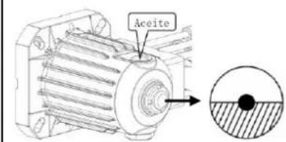 Aceite