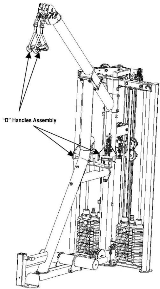 "D" Handles Assembly