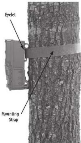 Eyelet Mounting Strap
