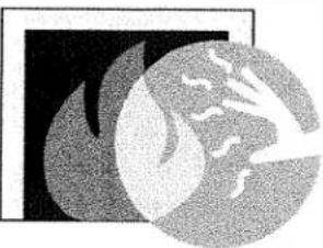 JOTUL GZ 450 DV - WARNING - 1