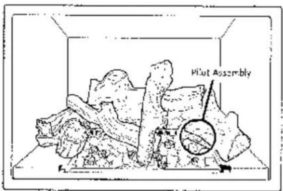 Pilot Assembly