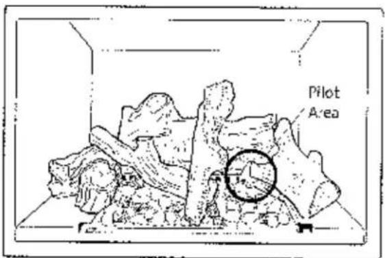 Pilot Area