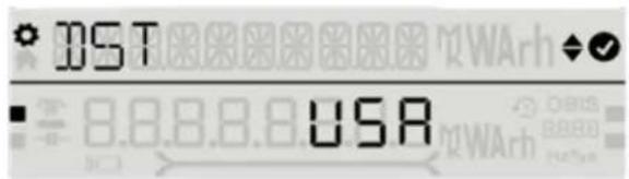 DST USA